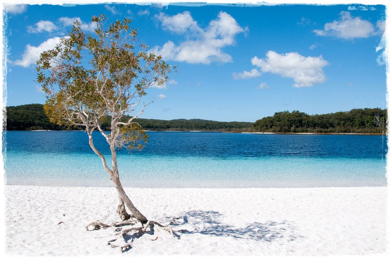 Австралия. Fraser island - самый большой песчаный остров в мире