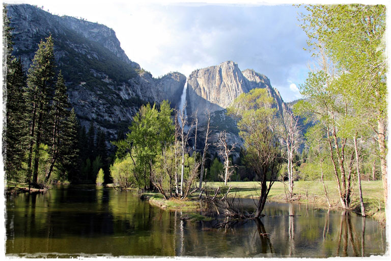 Национальный парк Yosemite и надежда на встречу с медведем