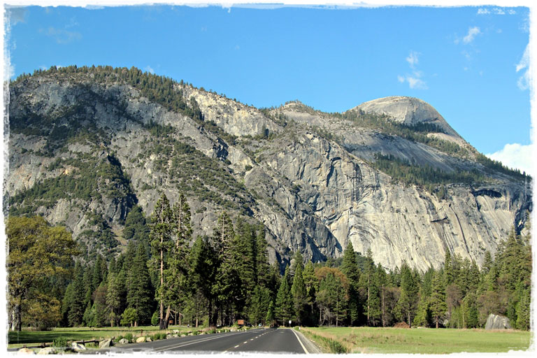Национальный парк Yosemite и надежда на встречу с медведем