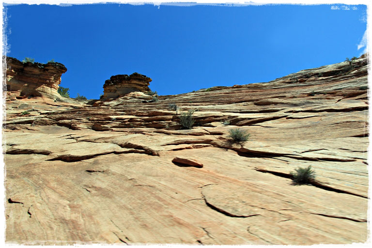 Zion National Park - он покорил нас, а мы покорили его вершины