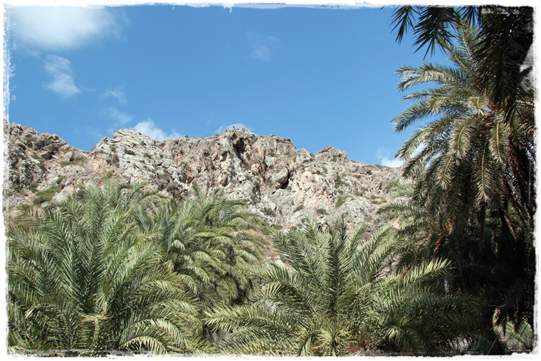 Южный Крит. Пляж и пальмовая роща Превели