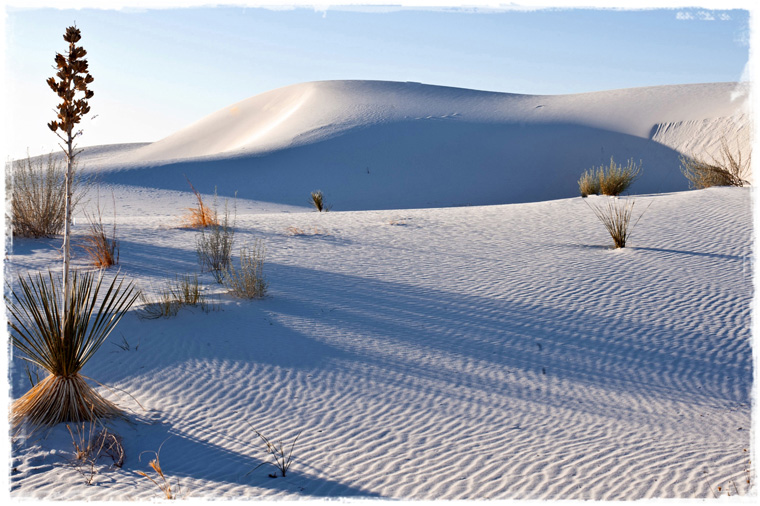 Нью-Мексико. Национальный парк White Sands - бескрайние барханы цвета мела и сметаны
